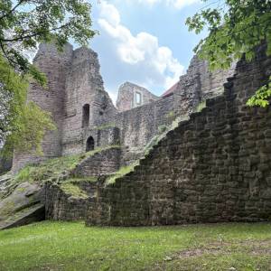 IMG_1481_original