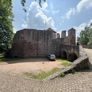 IMG_1486_original