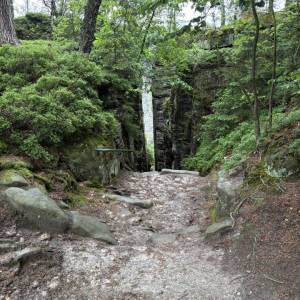 IMG_1619_original