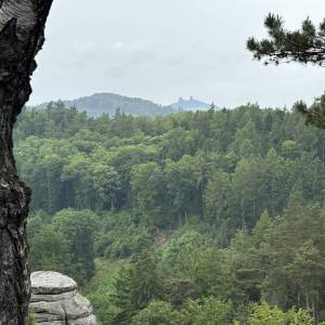 IMG_1625_original